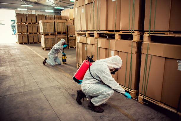 Best Termite Control Services  in Jefferson, WI