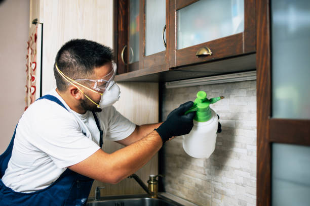 Best Emergency Pest Control  in Jefferson, WI