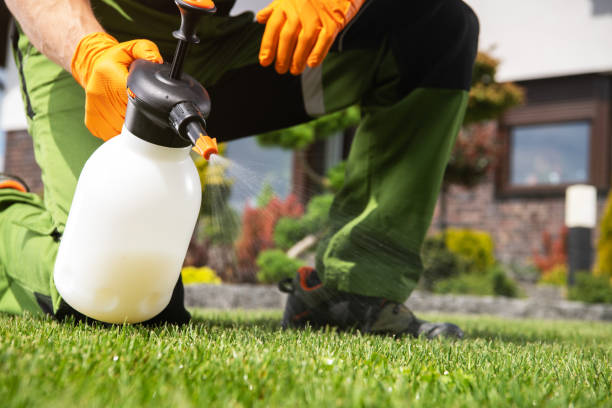 Best Flea Control Services  in Jefferson, WI