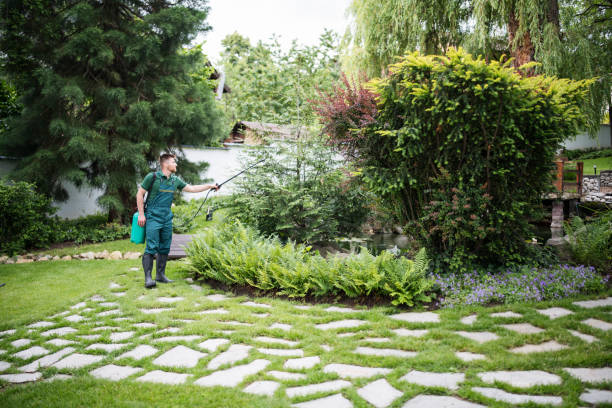 Best Residential Pest Control  in Jefferson, WI