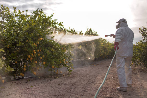Pest Control Cost in Jefferson, WI