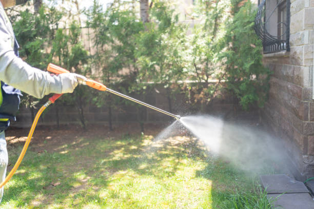 Best Best Pest Control Companies  in Jefferson, WI