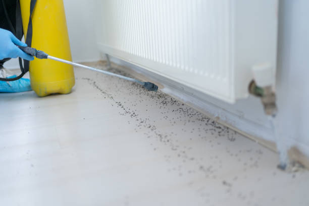 Best Commercial Pest Control Services  in Jefferson, WI